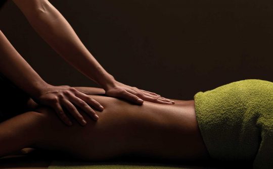 Immagine del Luxury Massage di Vagheggi Phyto Space